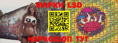 гидра Ставрополь