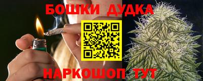 гидра Ставрополь