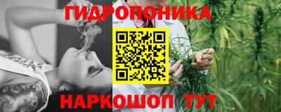 гидра Ставрополь