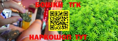 гидра Ставрополь