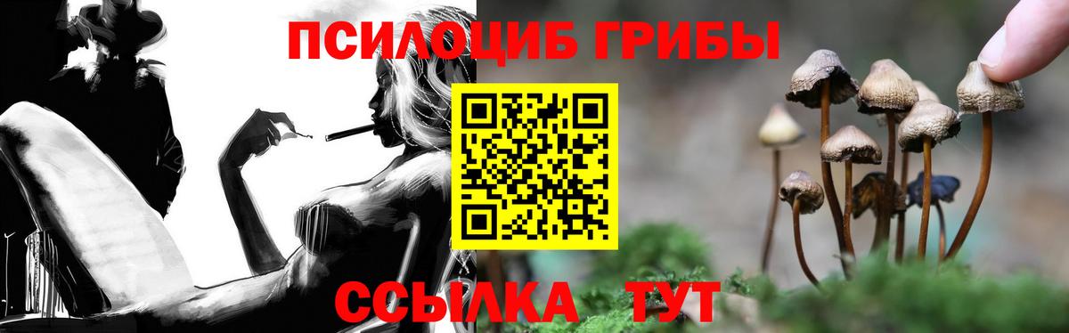 Галлюциногенные грибы MAGIC MUSHROOMS  Вход с VPN  Минеральные Воды 